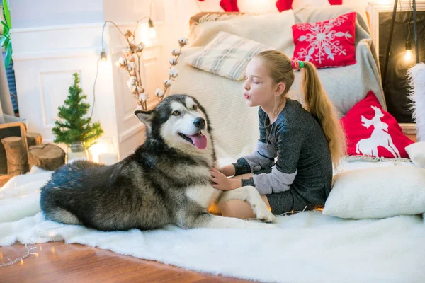 Aranyos Lány Szőke Haj Szórakozás Otthon Egy Kutya Malamute Otthon — Stock Fotó