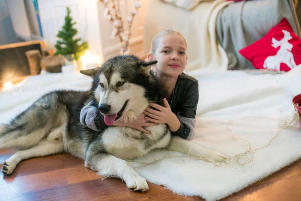 Söt Tjej Med Blont Hår Kul Hemma Med Hund Malamute — Stockfoto