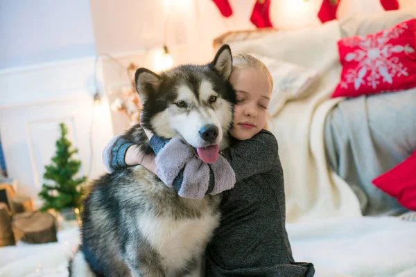 Linda Chica Con Cabello Rubio Divirtiéndose Casa Con Perro Malamute — Foto de Stock