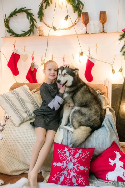 可爱的女孩与金发碧眼的女孩在家里有乐趣与狗马拉穆特在家里在装饰的房间圣诞节 — 图库照片