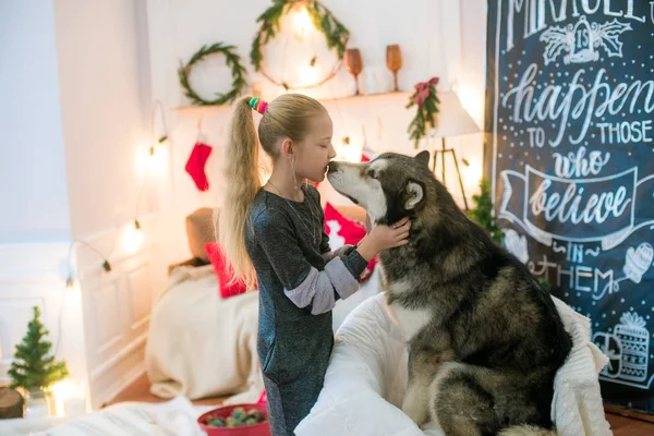 Aranyos Lány Szőke Haj Szórakozás Otthon Egy Kutya Malamute Otthon — Stock Fotó