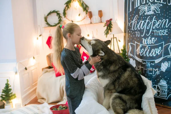 Aranyos Lány Szőke Haj Szórakozás Otthon Egy Kutya Malamute Otthon — Stock Fotó