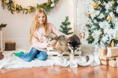 Sarı uzun saçlı sevimli kız küçük Malamute köpekler evde Noel için dekore edilmiş bir odada çalış