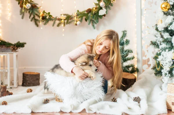 Menina Bonito Com Cabelo Longo Loiro Brinca Com Pequeno Filhote — Fotografia de Stock