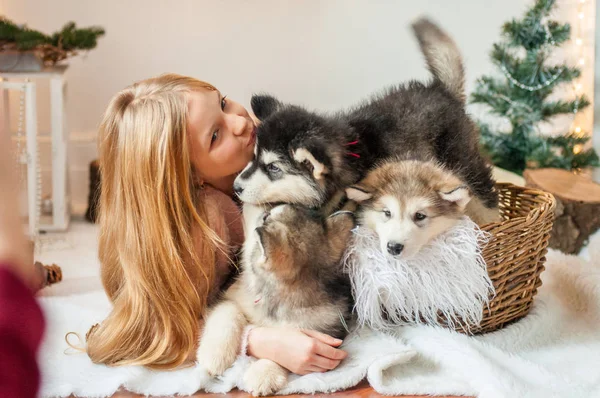 Menina Bonito Com Cabelos Longos Loiros Brinca Com Pequenos Filhotes — Fotografia de Stock