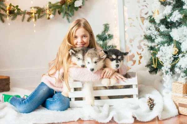 Niedliches Mädchen Mit Blonden Langen Haaren Spielt Mit Kleinen Malamut — Stockfoto