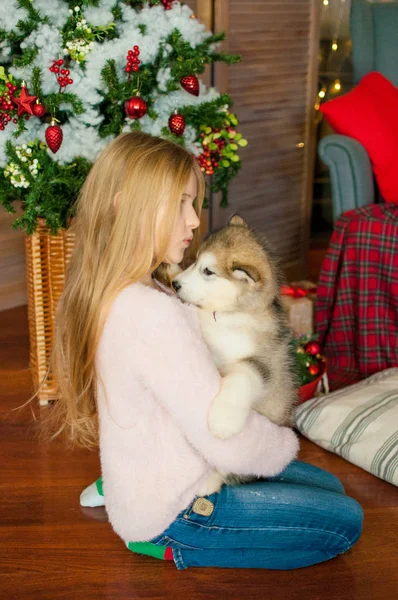 Schattig Meisje Met Blond Lang Haar Speelt Met Kleine Malamute — Stockfoto