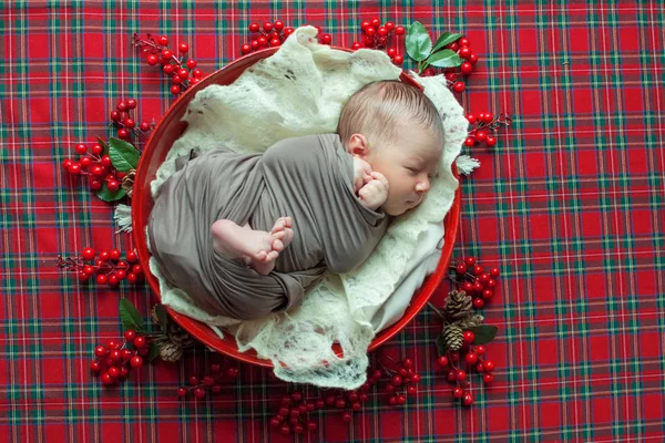 Ładny Mały Chłopczyk Koszyku Bożego Narodzenia Urządzone Igieł Sosnowych Czerwone — Zdjęcie stockowe