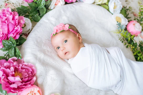 Novorozeně Květ Dressing Spočívá Jarní Květiny — Stock fotografie