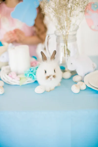 Easter Bunnies Holiday Table Decorated Blue Holiday Colored Eggs Flowers — Stock Photo, Image