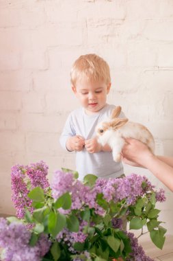 Taze meyve ile antika süt banyosunda bebek erkek yakın