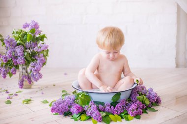 Leylak çiçekleri ile antika süt banyosunda bebek çocuk yakın