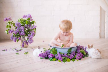 Leylak çiçekleri ve küçük tavşanlar ile antika bir süt banyosunda bebek çocuk yakın