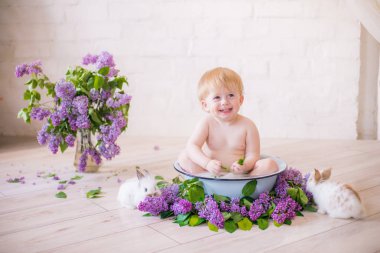Leylak çiçekleri ve küçük tavşanlar ile antika bir süt banyosunda bebek çocuk yakın