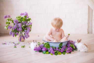 Leylak çiçekleri ve küçük tavşanlar ile antika bir süt banyosunda bebek çocuk yakın