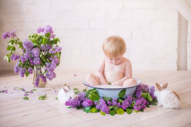 Leylak çiçekleri ve küçük tavşanlar ile antika bir süt banyosunda bebek çocuk yakın
