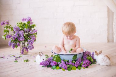 Leylak çiçekleri ve küçük tavşanlar ile antika bir süt banyosunda bebek çocuk yakın