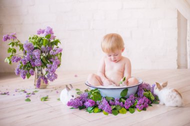 Leylak çiçekleri ve küçük tavşanlar ile antika bir süt banyosunda bebek çocuk yakın