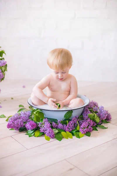 Blízký Chlapeček Starodávné Mléčné Vaně Fialový Květinami — Stock fotografie