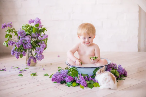 Close Baby Boy Antique Milk Bath Lilac Flowers — Stock Photo, Image