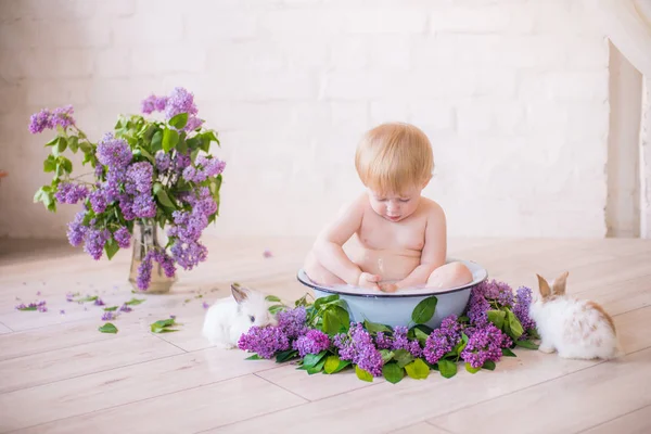 Close Baby Boy Antique Milk Bath Lilac Flowers Little Rabbits — Stock Photo, Image