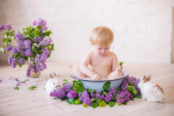 Primer Plano Del Niño Antiguo Baño Leche Con Flores Lila —  Fotos de Stock