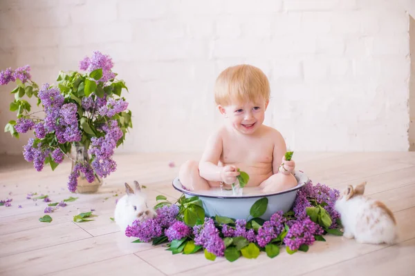 Nahaufnahme Eines Kleinen Jungen Einem Antiken Milchbad Mit Lila Blüten — Stockfoto