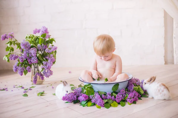 Zbliżenie Chłopca Zabytkowej Łaźni Mlecznej Liliami Kwiatów Małych Królików — Zdjęcie stockowe