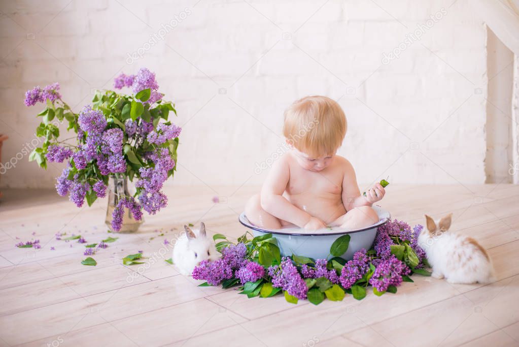 Close up of baby boy in an antique milk bath with lilac flowers and little rabbits