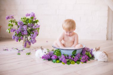 Leylak çiçekleri ve küçük tavşanlar ile antika bir süt banyosunda bebek çocuk yakın