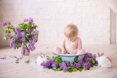 Leylak çiçekleri ve küçük tavşanlar ile antika bir süt banyosunda bebek çocuk yakın