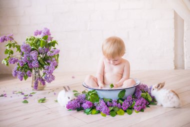 Leylak çiçekleri ve küçük tavşanlar ile antika bir süt banyosunda bebek çocuk yakın