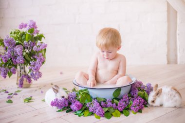 Leylak çiçekleri ve küçük tavşanlar ile antika bir süt banyosunda bebek çocuk yakın