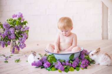 Leylak çiçekleri ve küçük tavşanlar ile antika bir süt banyosunda bebek çocuk yakın