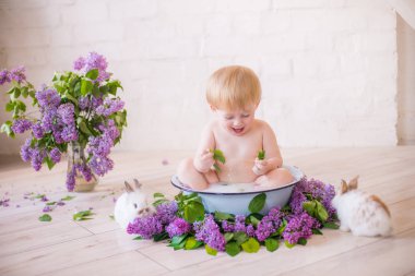 Leylak çiçekleri ve küçük tavşanlar ile antika bir süt banyosunda bebek çocuk yakın