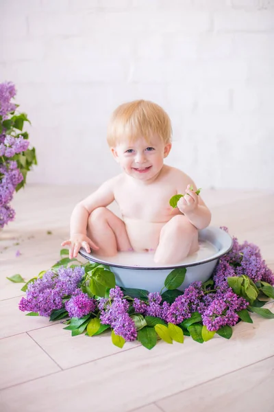 Close Baby Boy Antique Milk Bath Lilac Flowers — Stock Photo, Image