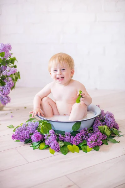 Close Baby Boy Antique Milk Bath Lilac Flowers — Stock Photo, Image