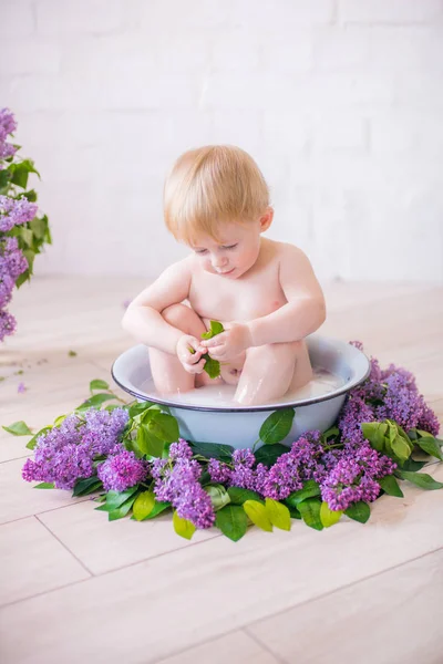 Close Baby Boy Antique Milk Bath Lilac Flowers — Stock Photo, Image