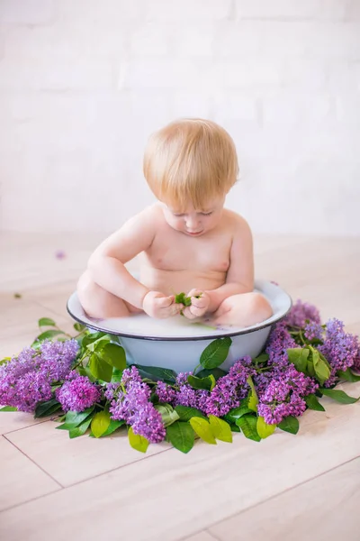 Close Baby Boy Antique Milk Bath Lilac Flowers — Stock Photo, Image