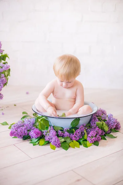 Close Baby Boy Antique Milk Bath Lilac Flowers — Stock Photo, Image