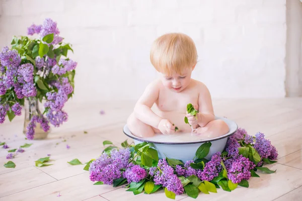 Close Baby Boy Antique Milk Bath Lilac Flowers — Stock Photo, Image