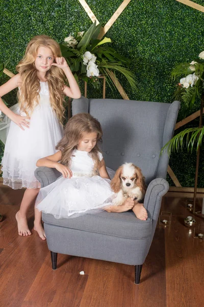 Маленькие Милые Девочки Светлыми Волосами Белых Платьях Держащие Маленькую Собаку — стоковое фото