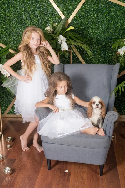 Маленькие Милые Девочки Светлыми Волосами Белых Платьях Держащие Маленькую Собаку — стоковое фото
