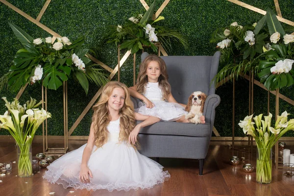 Маленькі Милі Дівчата Світлим Волоссям Білих Сукнях Тримають Маленького Собаку — стокове фото