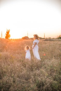 Anne ve kızı elele ve günbatımı gökyüzü ile yeşil çayır tarafından arka plan üzerinde yürüme