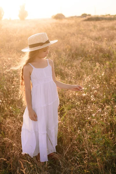 Menina Bonito Com Cabelos Longos Loiros Campo Verão Pôr Sol — Fotografia de Stock