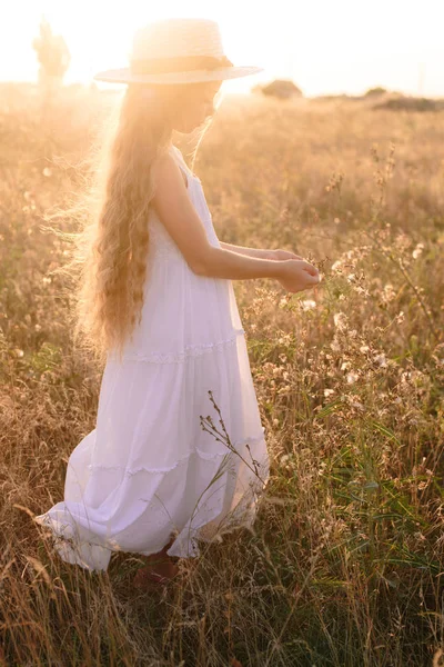 Симпатична Маленька Дівчинка Світлим Довгим Волоссям Літньому Полі Заході Сонця — стокове фото