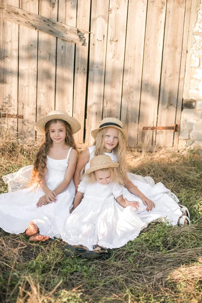 Schattige Kleine Meisjes Met Blond Lang Haar Een Zomer Veld — Stockfoto