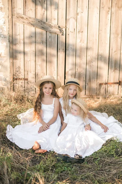 Lindas Niñas Con Pelo Largo Rubio Campo Verano Atardecer Vestidos — Foto de Stock