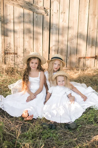 Aranyos Kis Lányok Szőke Hosszú Hajú Nyári Területen Naplementében Fehér — Stock Fotó